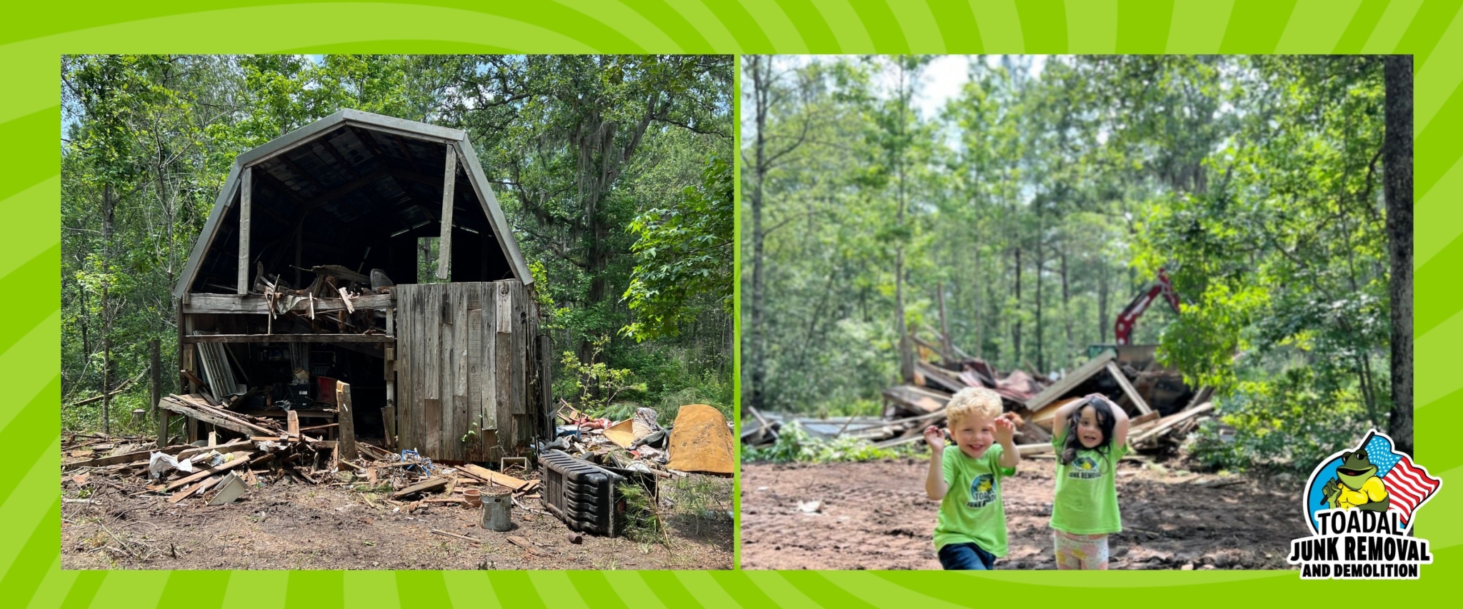 Shed Removal Charleston: Is Your Shed an Airbnb for the Wildlife?