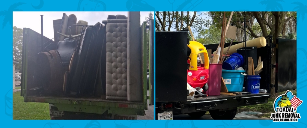 5 Signs It's Time for Spring Cleaning in Charleston | Toadal Junk Removal